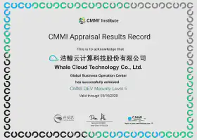 CMMI成熟度五级评估证书